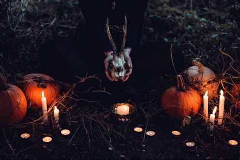 Explore the Mysteries of Halloween at the Magical Forest